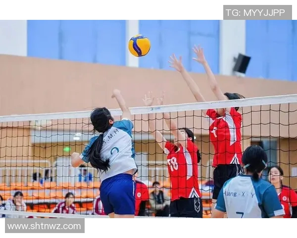 武汉排球队的力量变革引发热议展现团队精神与竞技魅力