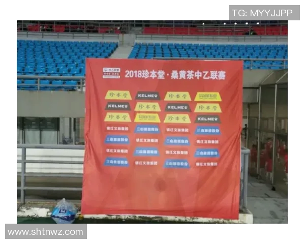 深圳羽毛球队的比赛经验分享与成长之路探讨