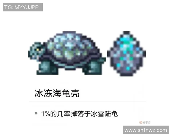 聚焦CSGOV5团队协作的关键策略与实战经验分享 聚焦CSGOV5团队协作的关键策略与实战经验分享