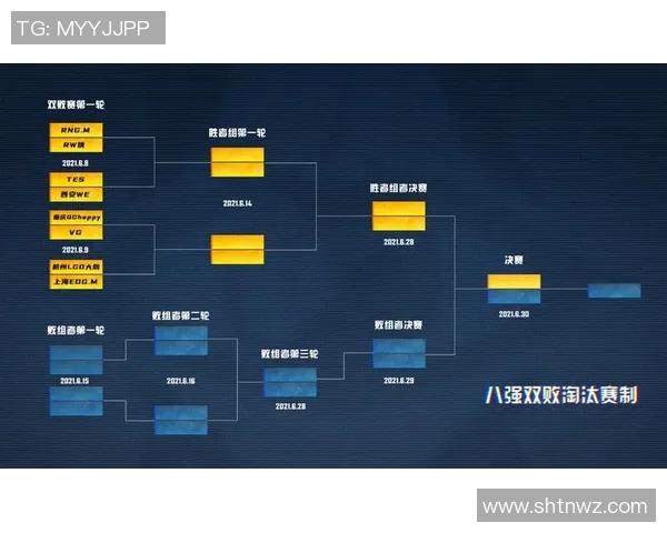 聚焦王者荣耀TES团队协作的成功秘诀与挑战分析